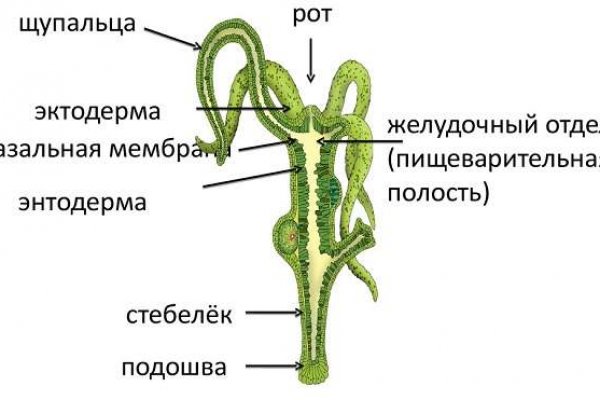 Восстановить аккаунт кракен