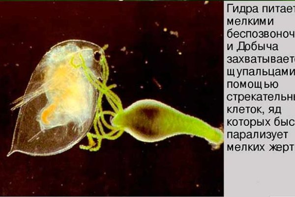 Как войти на сайт кракен