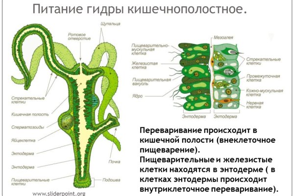 Кракен браузер