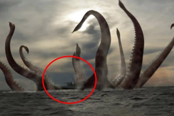 Kraken ссылка актуальная
